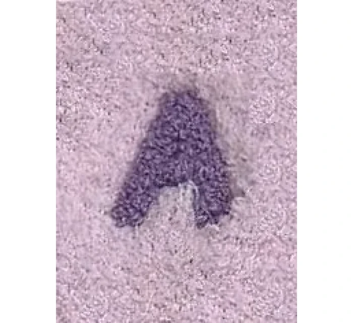 Dámské ponožky model 20541436 - Magnetis