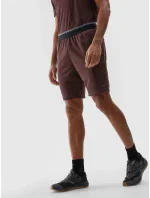 Pánske športové šortky 4F