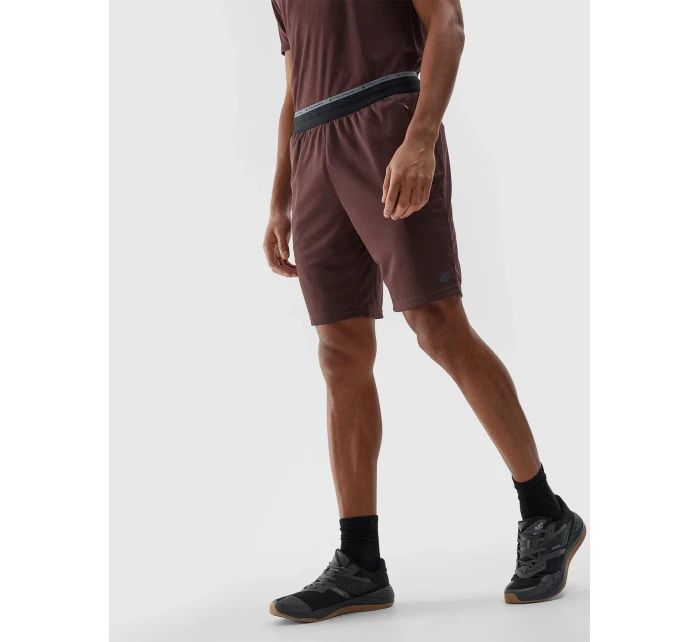 Pánske športové šortky 4F