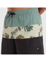 Plavecké šortky O'Neill Cali Block M model 20080413 - ONeill