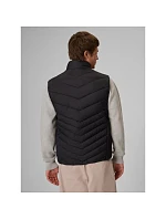 Pánská vesta se syntetickou výplní model 22369617 - 4F Pánská vesta se syntetickou výplní model 22369617 - 4F