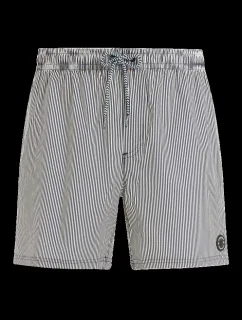 Pánské plážové šortky model 20438223 - Protest