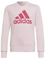 Mikina Adidas Big Logo SWT Jr HM8709