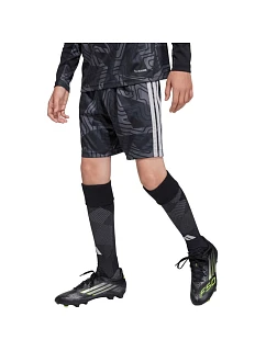 Detské brankárske šortky adidas Tiro 26 Competition black/grey KC5468