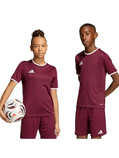 Detský dres adidas Entrada 26 Jersey burgundy JZ2530