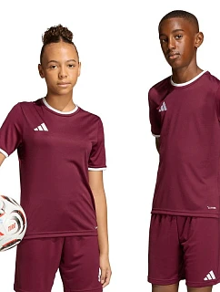 Detský dres adidas Entrada 26 Jersey burgundy JZ2530