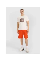 Pánské tričko s potiskem model 21433890 pánské - 4F