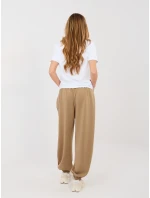 Spodnie IT SP model 21902612 ciemny bezowy - FPrice