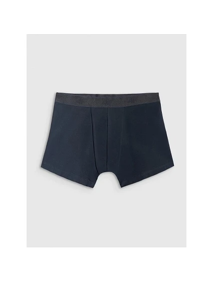 Pánské boxerky (3 balení) model 22132352 - 4F