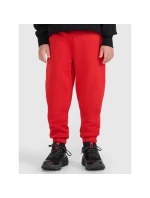 Chlapecké tepláky model 21812103 - 4F Chlapecké tepláky model 21812103 - 4F