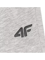 Šortky 4F CAS M543 M 4FWMM00TSHOM543 27M Šortky 4F CAS M543 M 4FWMM00TSHOM543 27M