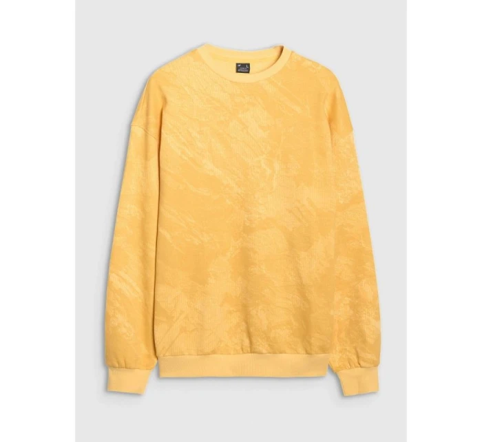 Pánská mikina s kapucí bez  model 21730414 - 4F