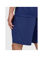 Pánské rychleschnoucí tréninkové šortky x model 22359169 - 4F Pánské rychleschnoucí tréninkové šortky x model 22359169 - 4F