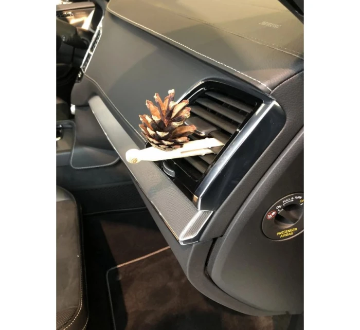 Zestaw   1 x  + 1  (LP) model 21357821 - Pani Szyszka