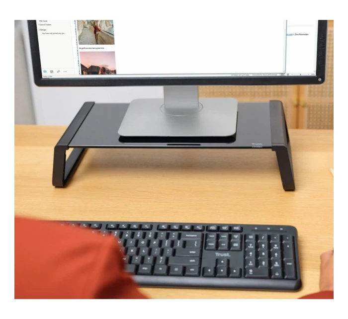 NA model 21861543 - Trust