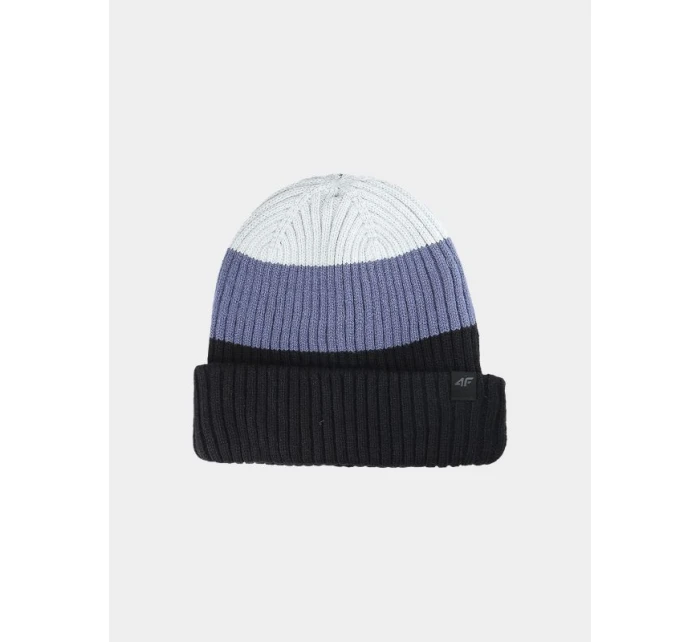 Pánská zimní čepice model 21474419 pánské - 4F