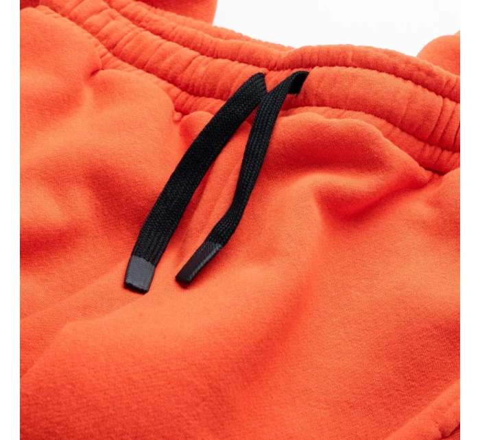 Spodnie TB model 21360585 - Iguana