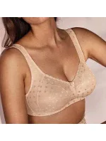 komfortní podprsenka light powder model 10632552 - Anita Classix komfortní podprsenka light powder model 10632552 - Anita Classix