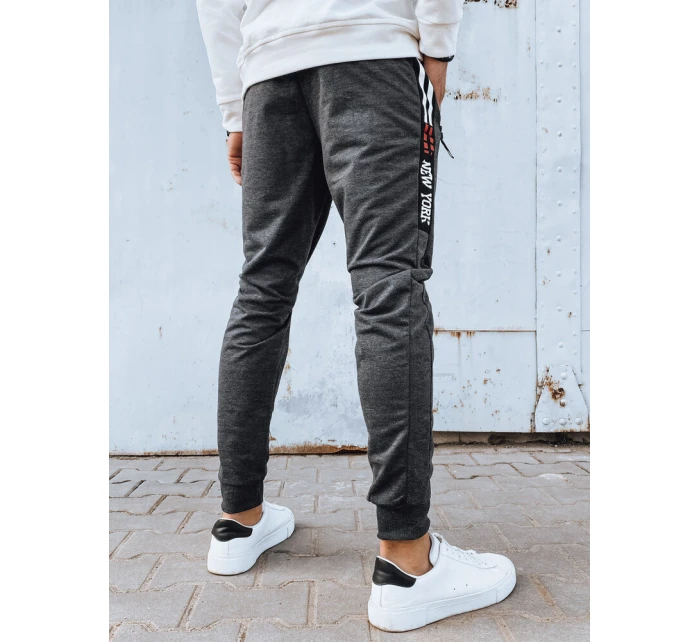 Pánské tmavě šedé tepláky model 21975778 - Dstreet