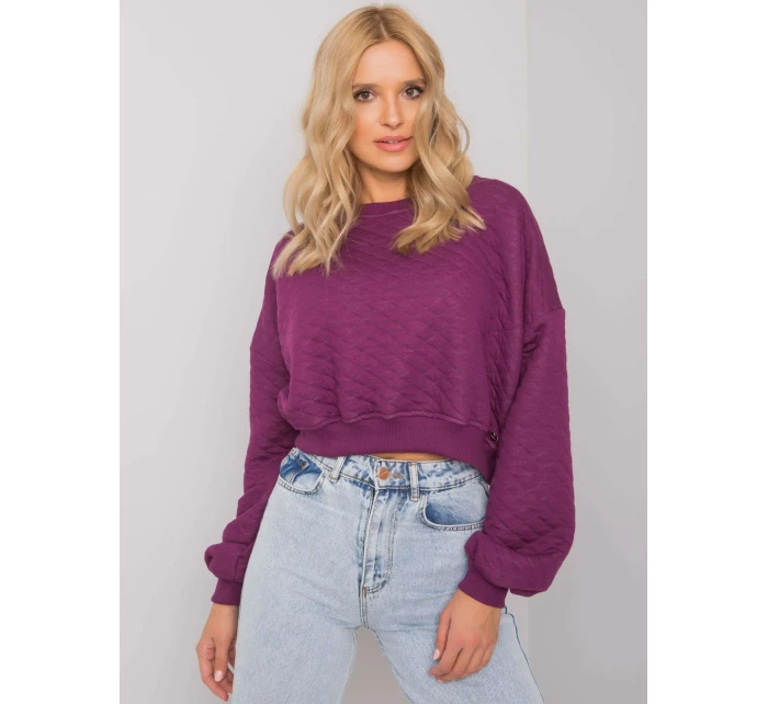 Mikina RV BL 7450.64 tmavo fialová Mikina RV BL 7450.64 tmavo fialová