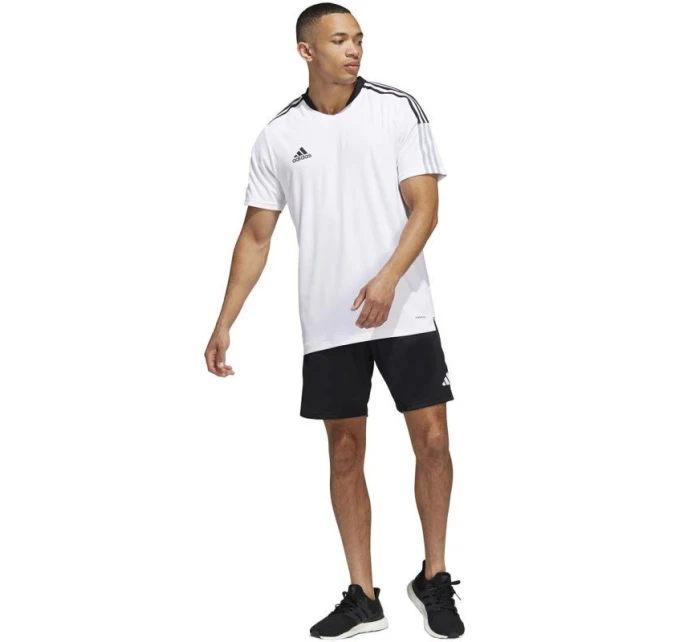 Šortky adidas Tiro 23 Competition M HL3923