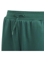 Adidas BLUV Q3 Pant Jr IA1553