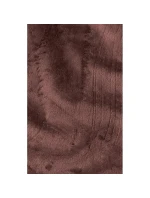 Dámska prechodná bunda s kapucňou Jack Wolfskin Windhain Hoody W softshell červená (1307481_2866)