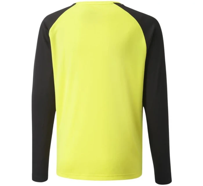 Brankárska mikina Puma teamPacer GK LS Jersey Jr 704939 42