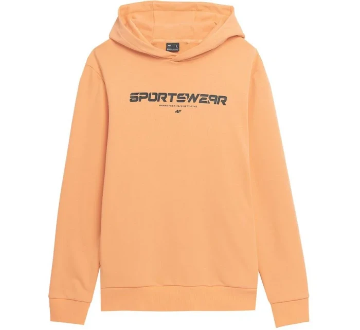 Pánská mikina M SS23TSWS  model 18353885 - 4F