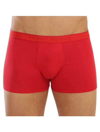 Trunk model 20946384 - Tommy Hilfiger Trunk model 20946384 - Tommy Hilfiger