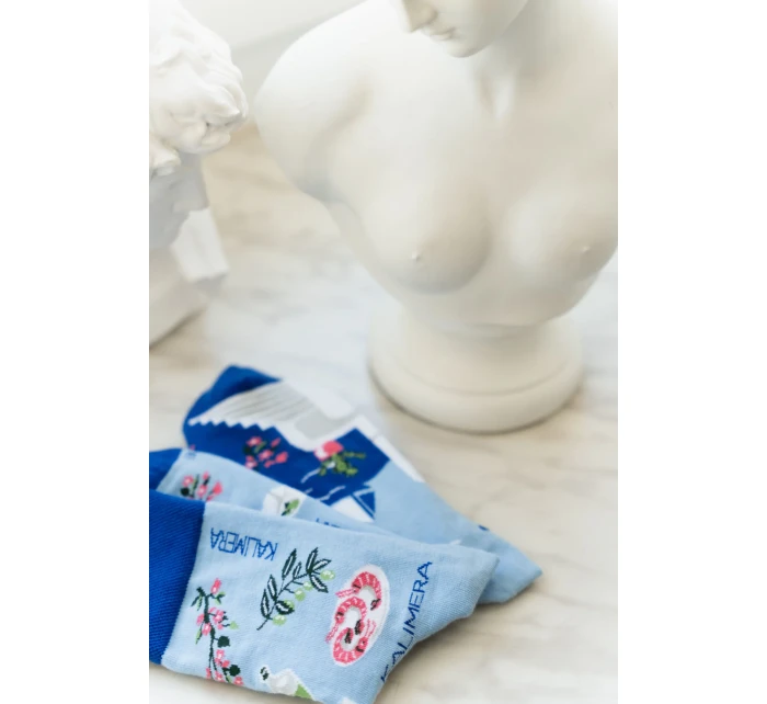 Ponožky Santorini 079-A069 Modrá - Viac