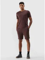 Pánske športové šortky 4F