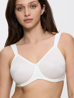 Soft model 230705 Triumph