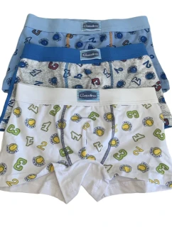 Chlapecké boxerky model 21337738 - Gasolineblu