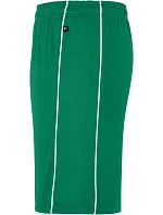 Daiber JN 387 Týmové kraťasy "Basic" 02.0387 green/white Daiber JN 387 Týmové kraťasy "Basic" 02.0387 green/white