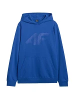 Pánská mikina cobalt WAW25TSWS 36S pánské model 21476733 - 4F Pánská mikina cobalt WAW25TSWS 36S pánské model 21476733 - 4F