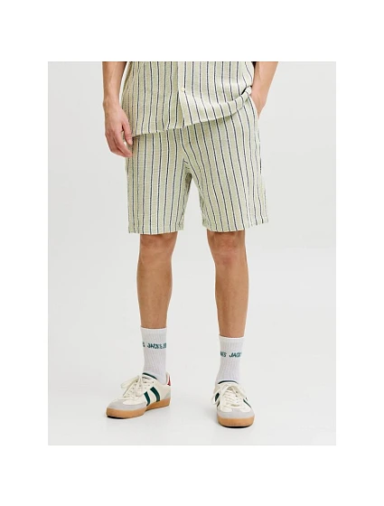 pánské pruhované šortky   SHORTS SN TEA/S model 22199553 - Jack&Jones