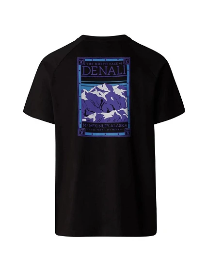 Tričko M North Face Tee M model 21267151 pánské - The North Face