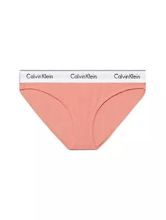 Spodné prádlo Dámske nohavičky BIKINI 0000F3787ELWG - Calvin Klein