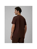 Tshirt regular z nadrukiem męski model 22551907 - 4F Tshirt regular z nadrukiem męski model 22551907 - 4F