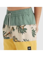 Plavecké šortky O'Neill Cali Block Jr model 20097364 - ONeill