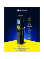 NA model 21830355 - Michelin