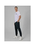 Pánské tepláky typu jogger model 22135870 - 4F