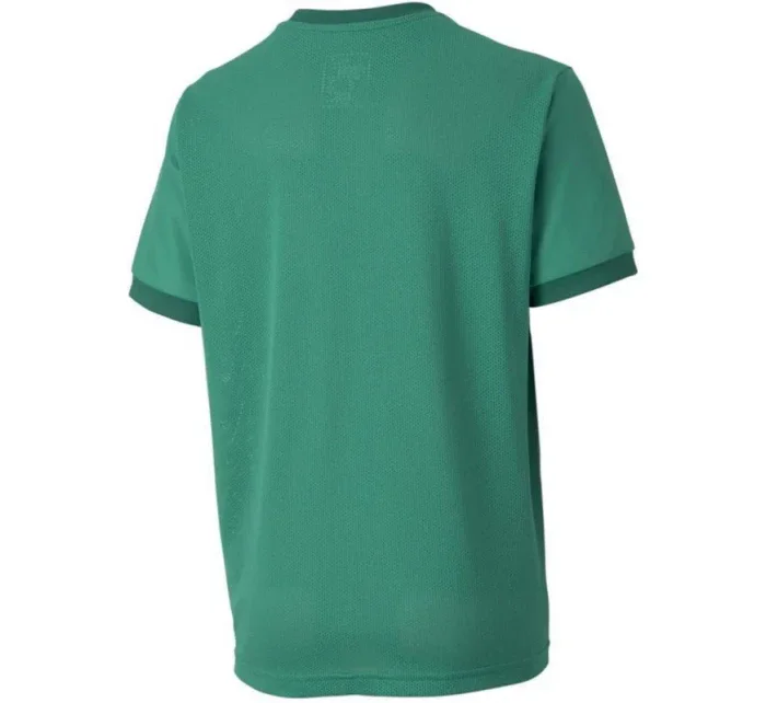 Puma teamGOAL 23 Jersey Jr 704160 05 tričko