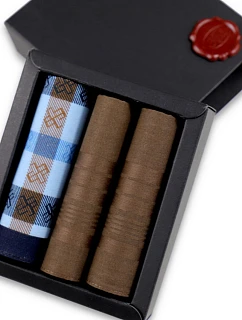 Pánské kapesníky  ks model 22072908 - EGA