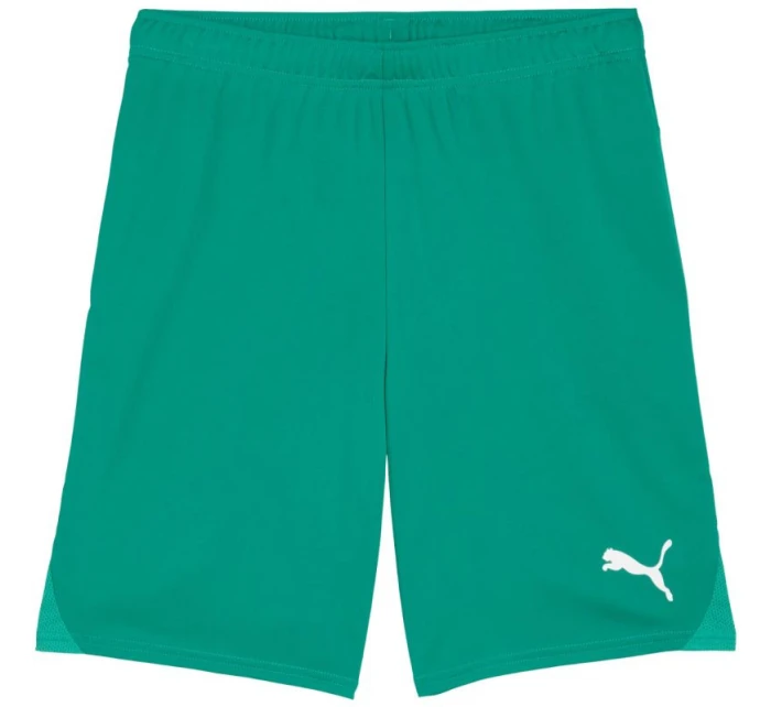 Pánské šortky Team Goal zelené model 21767413 05 - Puma Pánské šortky Team Goal zelené model 21767413 05 - Puma