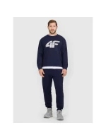 Pánske tepláky typu jogger 4F 4FRMM00TTROM1624-31S Pánske tepláky typu jogger 4F 4FRMM00TTROM1624-31S