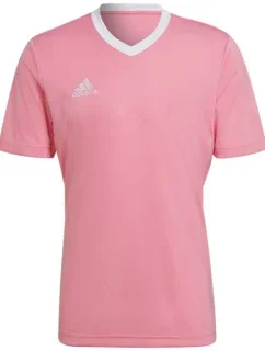 Pánske tričko Entrada 22 Jersey M HC5072 - Adidas