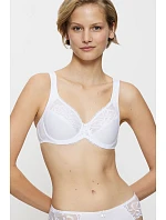 Soft model 229108 Triumph