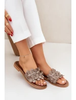 Dámské pantofle na plochém podpatku model 22014107 Taupe Zazoo - ZOiO Dámské pantofle na plochém podpatku model 22014107 Taupe Zazoo - ZOiO